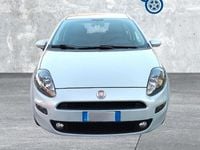 Usata Fiat Punto Evo Dynamic 77 CV (56 kW) 2012 Grigio Utilitaria