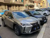 Usata Lexus UX 300e 56 kW (77 CV) 2022 Bronzo SUV