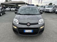 Usata Fiat Panda Easy 69 CV (50 kW) 2019 Grigio Utilitaria