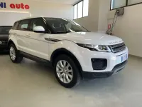 Usata Land Rover Range Rover evoque SE 150 CV (110 kW) 2018 Bianco SUV