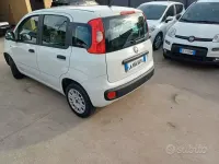 Usata Fiat Panda 95 CV (69 kW) 2019 Bianco Utilitaria