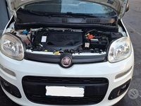 Usata Fiat Panda 2015 Bianco Utilitaria