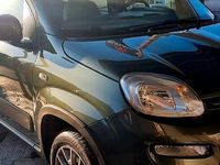 Usata Fiat Panda 4x4 85 CV (62 kW) 2016 Verde Utilitaria