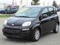 Nuova Fiat Panda Icon 65 CV (47 kW) 2025 Nero Utilitaria