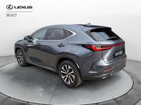Usata Lexus NX300h 243 CV (178 kW) 2022 Grigio SUV