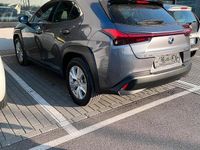Usata Lexus UX 152 CV (111 kW) 2021 Grigio SUV
