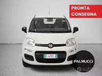 Usata Fiat Panda Easy 69 CV (50 kW) 2017 Bianco Utilitaria