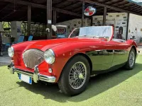 Usata Austin Healey 100 90 CV (66 kW) 1950 Rosso Cabrio