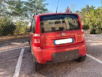 Usata Fiat Panda 60 CV (44 kW) 2007 Rosso Utilitaria