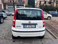 Usata Fiat Panda Dynamic 59 CV (43 kW) 2008 Bianco Utilitaria