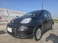 Usata Fiat Panda S 70 CV (51 kW) 2024 Nero Utilitaria