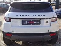 usata Land Rover Range Rover evoque 5p 2.0 td4 Pure Busines 150cv auto(AUTOCARRO)