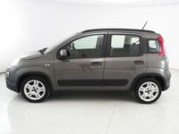 usata Fiat Panda New1.0 FireFly Hybrid City Life