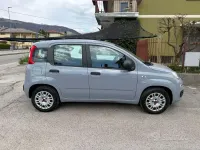 Usata Fiat Panda Easy 69 CV (50 kW) 2019 Grigio Utilitaria