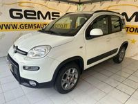 usata Fiat Panda 4x4 3ª serie 0.9 TwinAir Turbo S&S