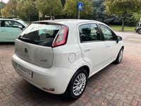 Usata Fiat Punto Lounge 75 CV (55 kW) 2014 Bianco Utilitaria