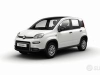 Nuova Fiat Panda S 69 CV (50 kW) 2025 Utilitaria