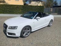 usata Audi A5 Cabriolet A5 3.0 Tdi quattro s-tronic -IVA ESPOSTA