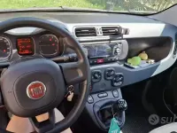 Usata Fiat Panda Easy 69 CV (50 kW) 2020 Utilitaria
