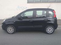 Usata Fiat Panda Pop 69 CV (50 kW) 2014 Nero Utilitaria