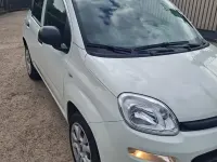Usata Fiat Panda 70 CV (51 kW) 2021 Bianco Utilitaria