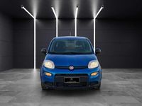 Usata Fiat Panda City Life 69 CV (50 kW) 2024 Blu met Utilitaria