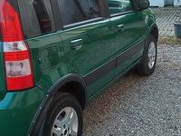 Usata Fiat Panda 4x4 60 CV (44 kW) 2007 Verde Utilitaria