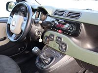 Usata Fiat Panda 4x4 75 CV (55 kW) 2016 Verde Utilitaria