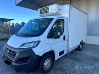 Usata Fiat Ducato 140 CV (102 kW) 2020 Bianco Furgone