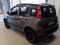 Usata Fiat Panda 4x4 S 84 CV (61 kW) 2020 Grigio Utilitaria