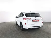 Usata Ford Kuga ST-Line 120 CV (88 kW) 2021 Frozen white  pastello SUV
