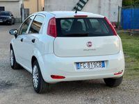 usata Fiat Punto 1.2 8V 5 porte Lounge