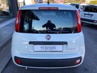 usata Fiat Panda 1.0 FireFly S&S Hybrid X NEOPATENTATI