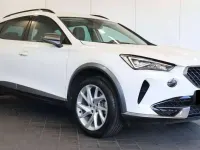 Usata Cupra Formentor 150 CV (110 kW) 2023 "candy" weiss SUV