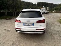 Usata Audi Q5 Design 190 CV (139 kW) 2019 SUV