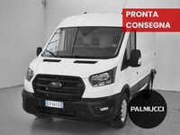 Usata Ford Transit Trend 131 CV (96 kW) 2023 Furgone