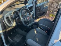 Usata Fiat Panda Classica 77 CV (56 kW) 2019 Grigio Utilitaria