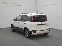 Usata Fiat Panda 69 CV (50 kW) 2025 Bianco Utilitaria