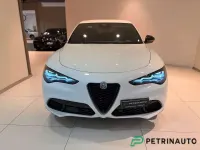 Usata Alfa Romeo Stelvio Veloce 209 CV (153 kW) 2025 240 bianco alfa SUV