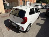 Usata Kia Picanto 67 CV (49 kW) 2017 Bianco Utilitaria
