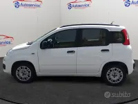 Usata Fiat Panda Easy 69 CV (50 kW) 2013 Bianco Utilitaria