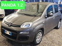 Usata Fiat Panda Easy 69 CV (50 kW) 2021 Grigio Berlina