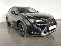 usata Lexus UX 2.0 Executive 2wd cvt