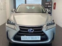 usata Lexus NX300 1ª SERIE Hybrid 4WD Executive Plus