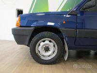 Usata Fiat Panda 4x4 Trekking 54 CV (39 kW) 2001 Blu Utilitaria