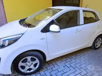 Usata Kia Picanto 67 CV (49 kW) 2022 Bianco Utilitaria