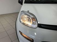 Usata Fiat Panda City Life 69 CV (50 kW) 2022 Bianco Utilitaria