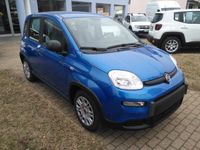 Nuova Fiat Panda S 69 CV (50 kW) 2025 Blu Utilitaria