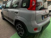 Usata Fiat Panda City Life 69 CV (50 kW) 2021 Grigio Berlina