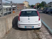 Usata Fiat Punto Dynamic 80 CV (58 kW) 2006 Bianco Utilitaria